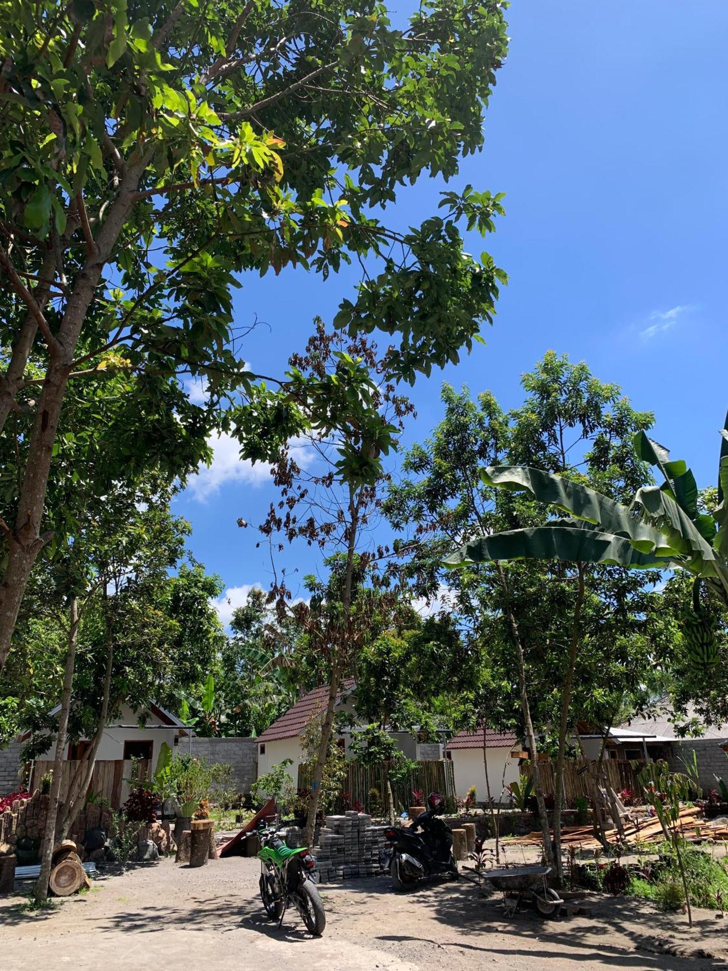 Avocado Homestay 테테바투 외부 사진