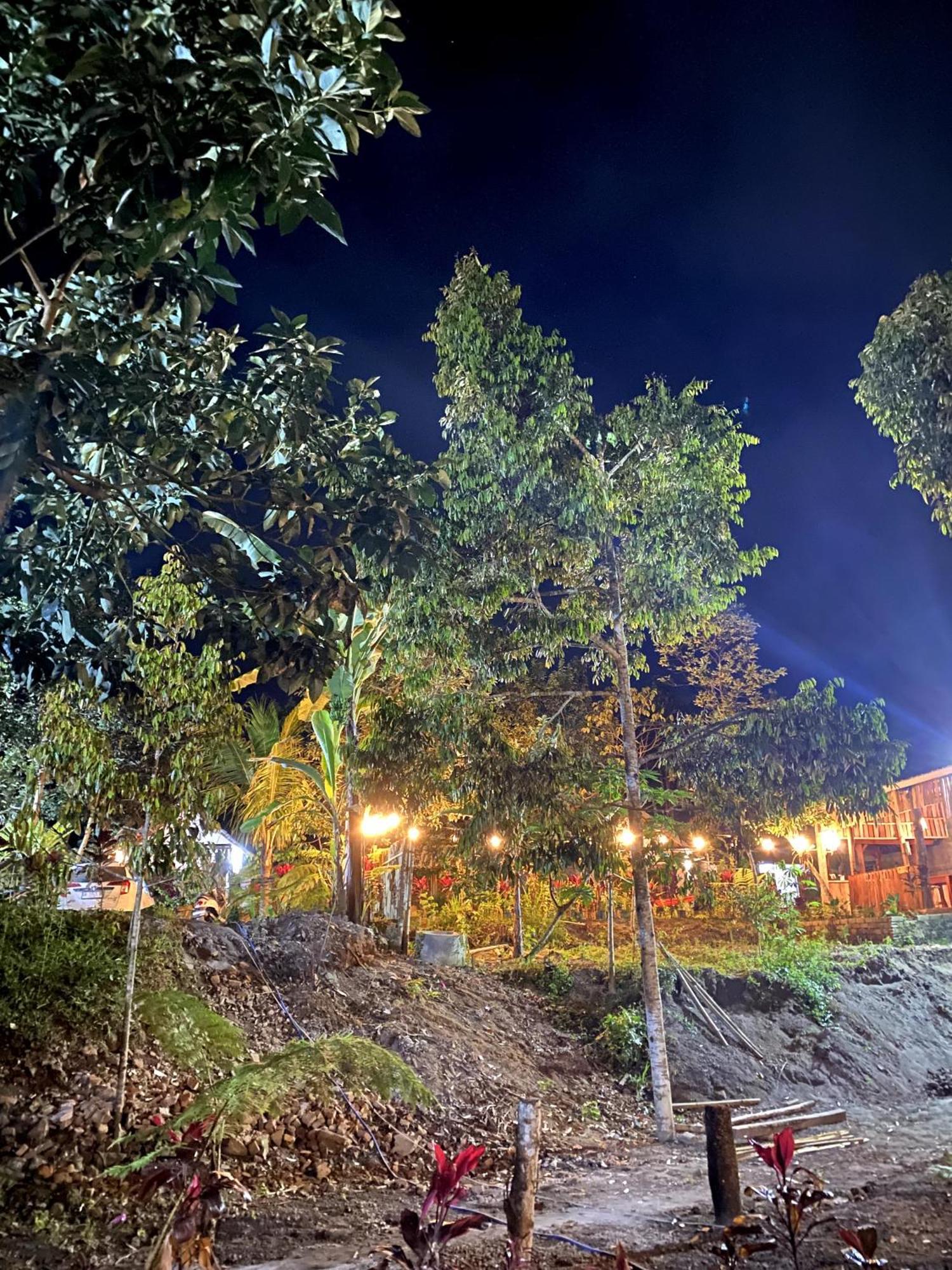 Avocado Homestay 테테바투 외부 사진